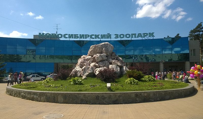 Зоопарк в Новосибирске
